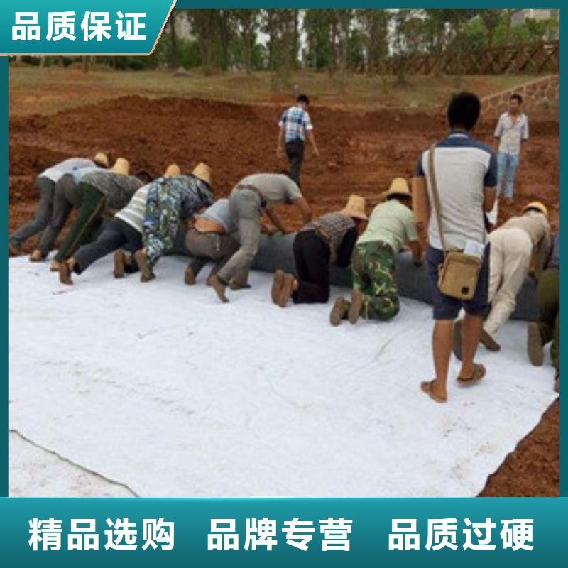 膨润土防水毯塑料土工格栅超产品在细节