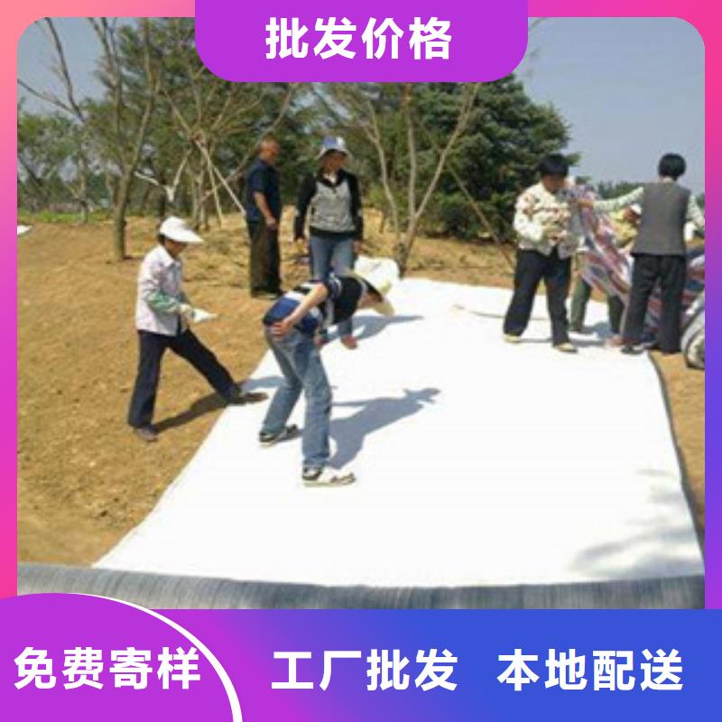 膨润土防水毯-复合土工布品质不将就