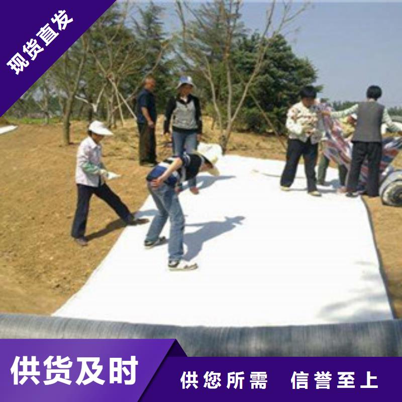 膨润土防水毯三维植被网专注生产制造多年