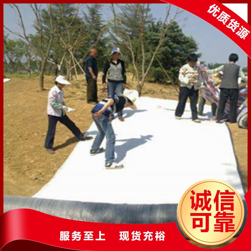 膨润土防水毯支持批发零售