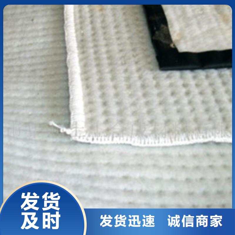 膨润土防水毯三维植被网专注生产制造多年
