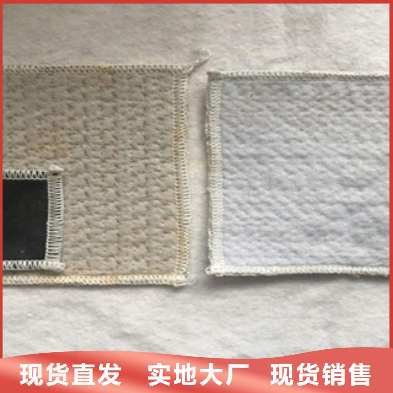 膨润土防水毯支持批发零售