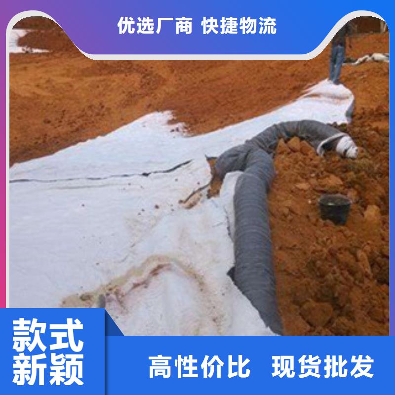 膨润土防水毯支持批发零售