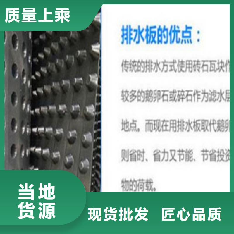 塑料排水板,三维植被网优选厂家