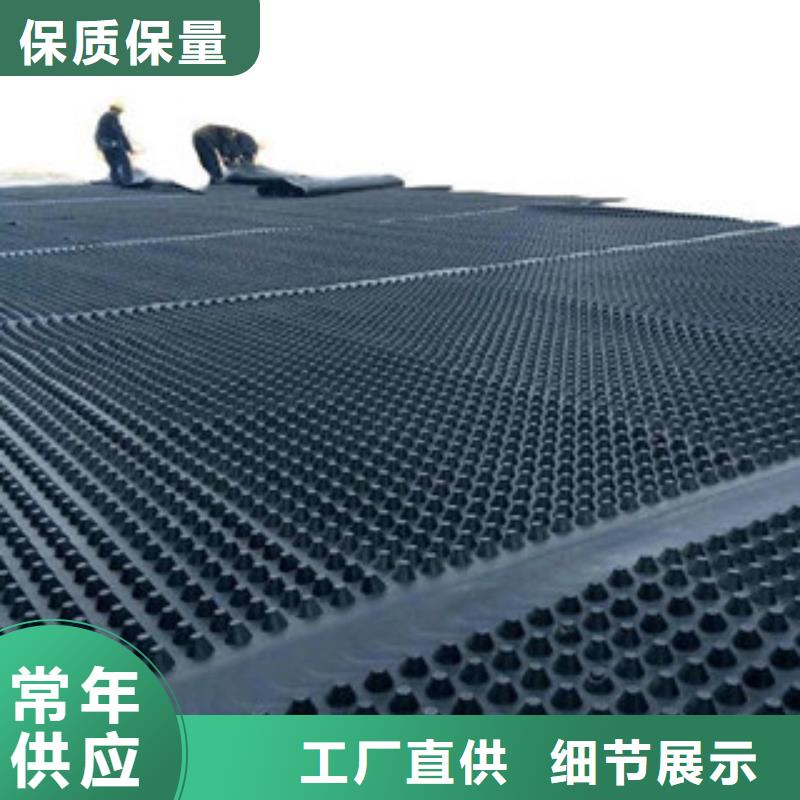 塑料排水板,三维植被网优选厂家