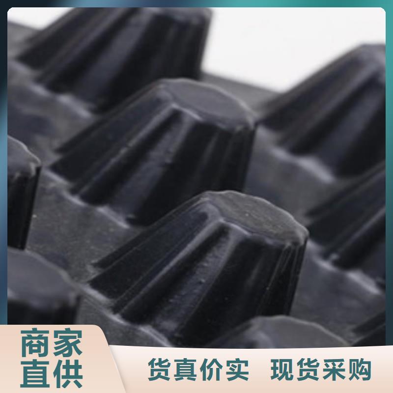 塑料排水板,三维植被网优选厂家