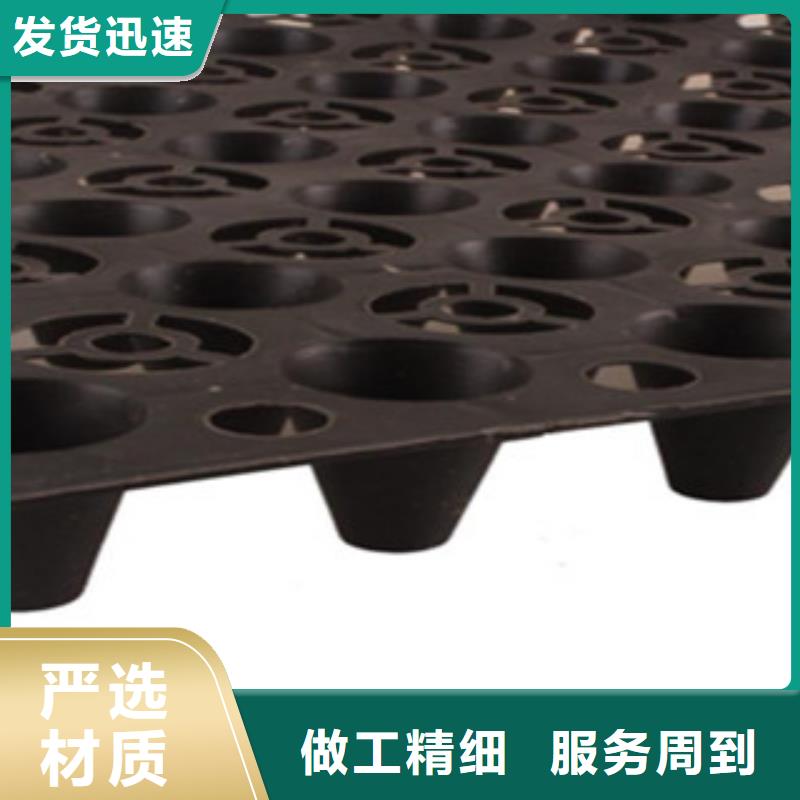 【塑料排水板】_三维植被网批发商