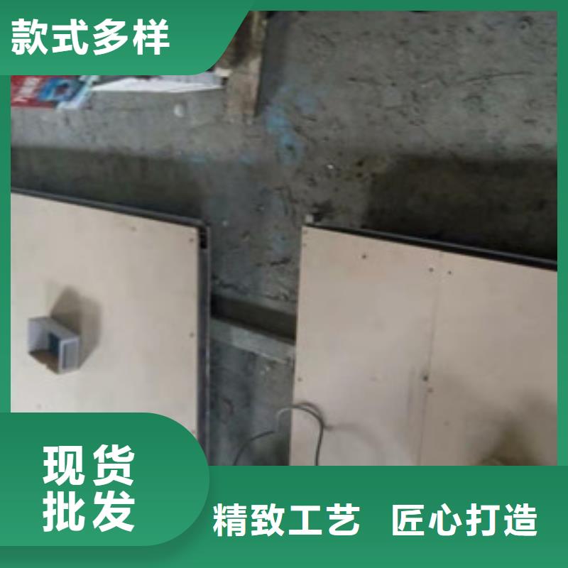 铅门_工业探伤室铅门可定制