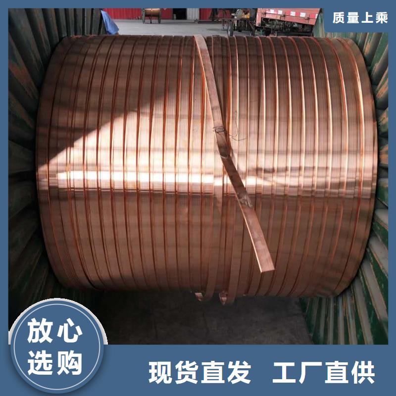 镀锡铜母线40*10