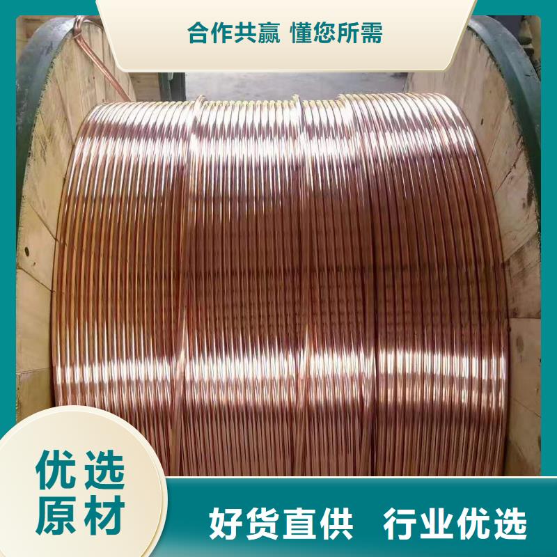【TJ-250mm2铜绞线】生产厂家供应%铜绞线