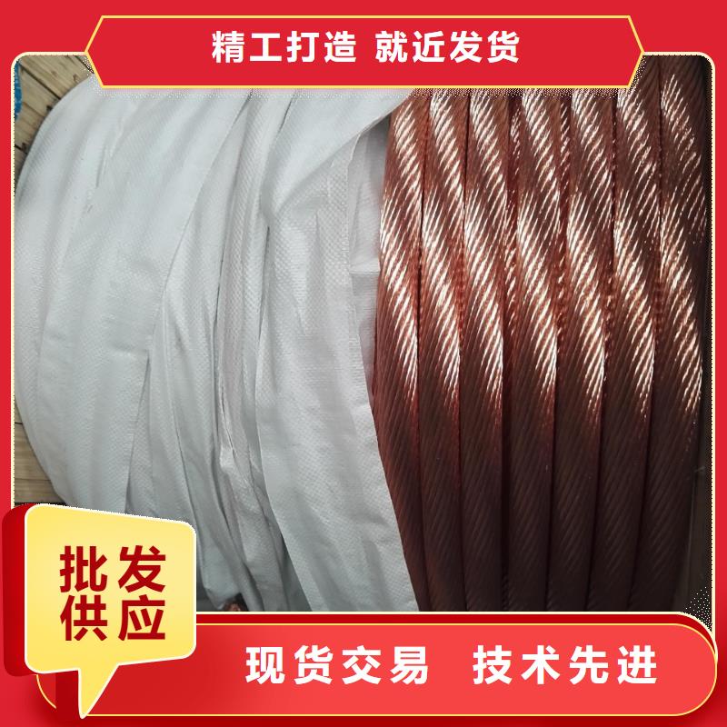 【TJX-500mm2镀锡铜绞线】厂家直销质优价廉