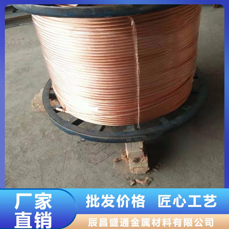 【TJ-185mm2镀锡铜绞线】一米多少钱