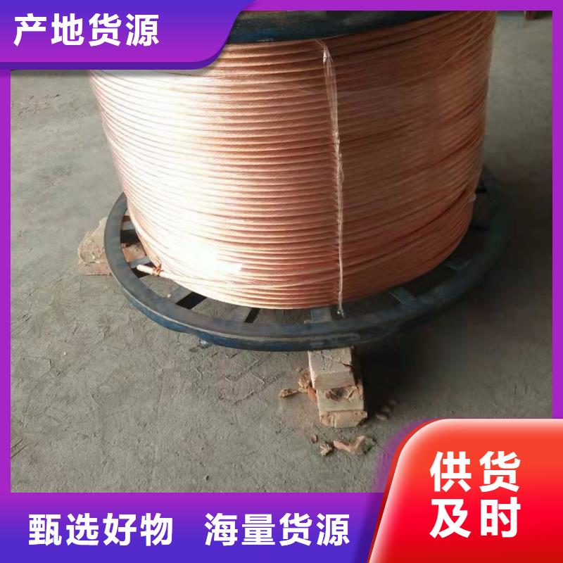 【TJX-95mm2铜绞线】变电站新建工程专用