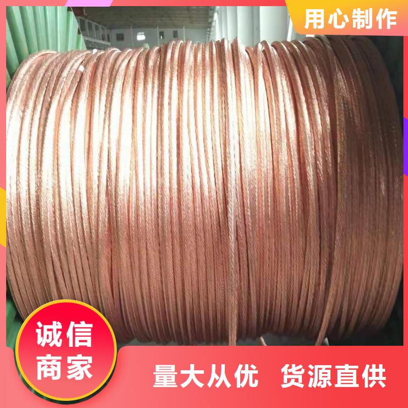 【TJX-50mm2镀锡铜绞线】厂家直销质优价廉