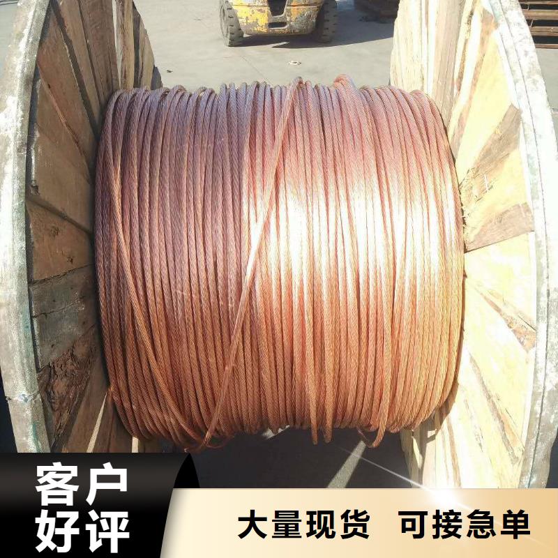 【TJ-500mm2镀锡铜绞线】一米多少钱