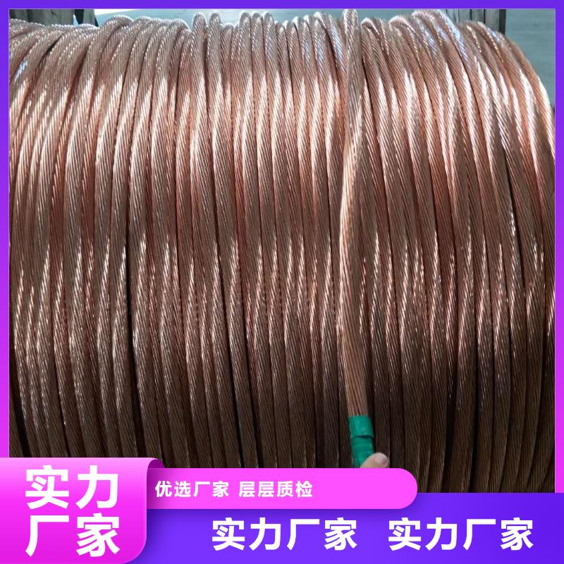镀锡铜绞线185㎜厂家现货
