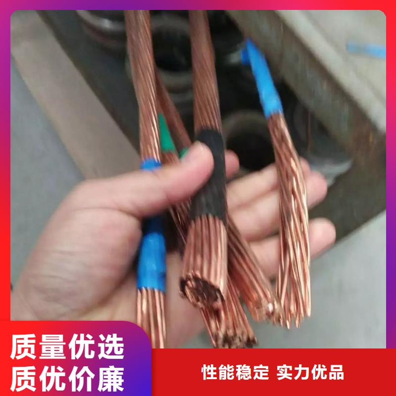 【TJX-250mm2铜绞线】变电站新建工程专用
