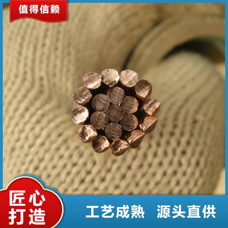 【TJ-630mm2镀锡铜绞线】一米多少钱