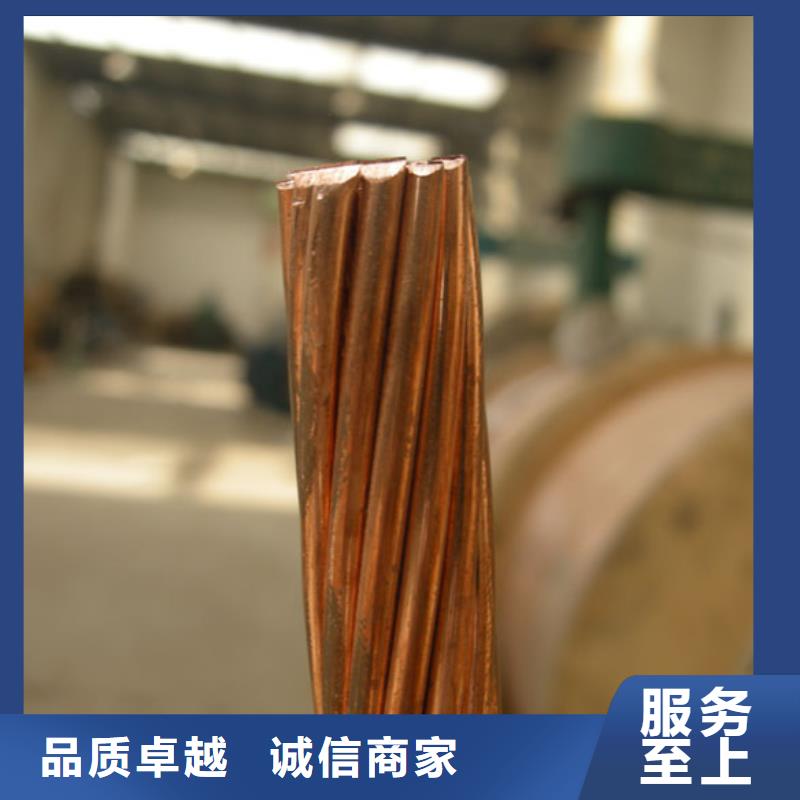 【TJX-185mm2铜绞线】变电站新建工程专用