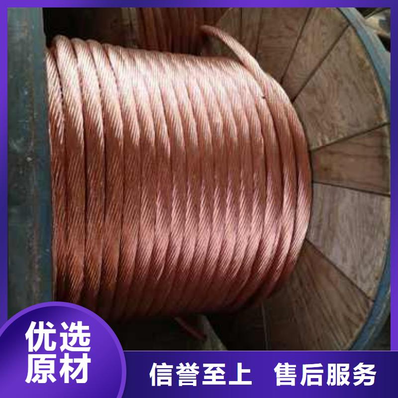 【TJX-300mm2铜绞线】变电站新建工程专用