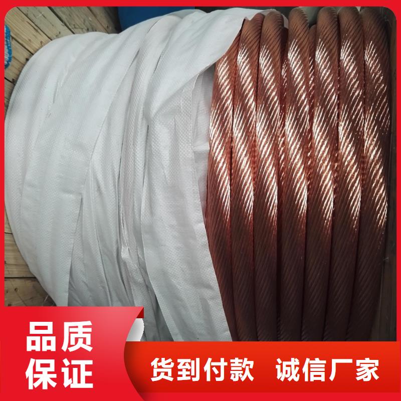 【TJX-185mm2镀锡铜绞线】现货批发