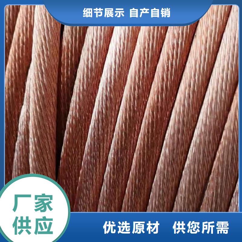 【TJX-185mm2铜绞线】厂家直销质优价廉