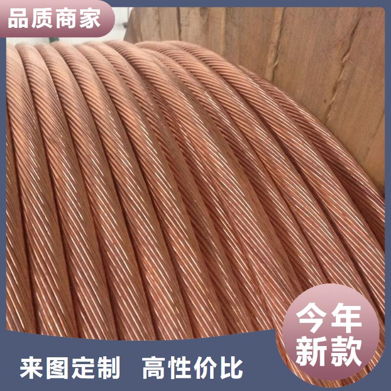TJ-16mm2镀锡铜绞线上门服务【厂家】