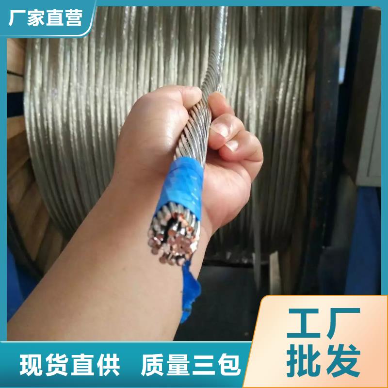 【TJ-630mm2镀锡铜绞线】厂家直销质优价廉