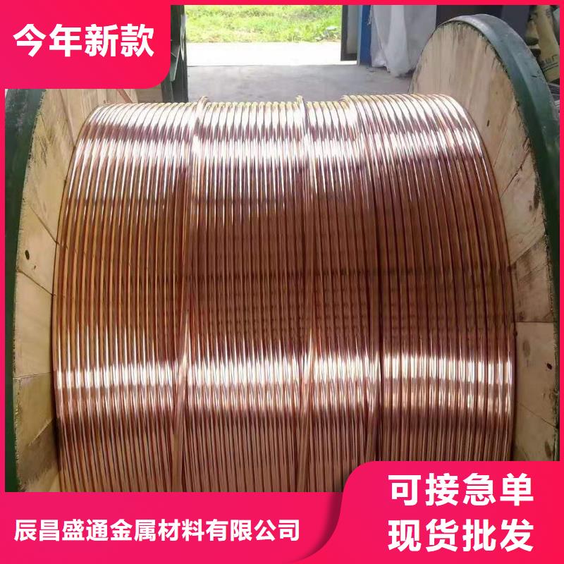 【TJX-300mm2铜绞线】生产厂家供应%铜绞线