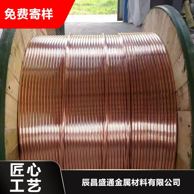 TJ-300mm2铜绞线上门服务【厂家】