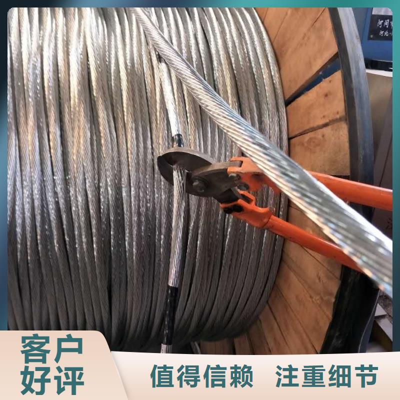 【TJX-300mm2镀锡铜绞线】变电站接地工程