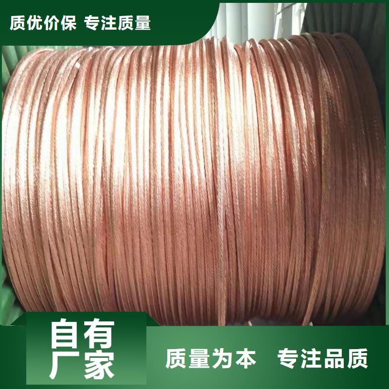 【TJX-300mm2镀锡铜绞线】变电站接地工程