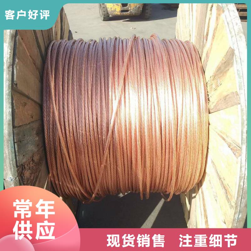 【TJX-50mm2铜绞线】厂家直销质优价廉