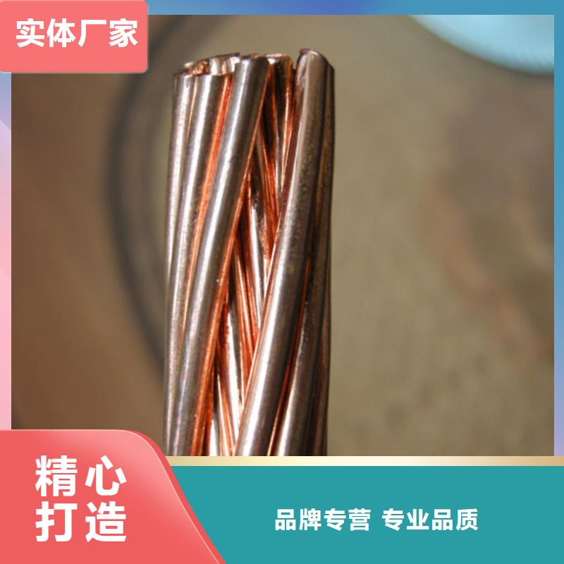 【TJX-300mm2镀锡铜绞线】生产厂家供应%铜绞线