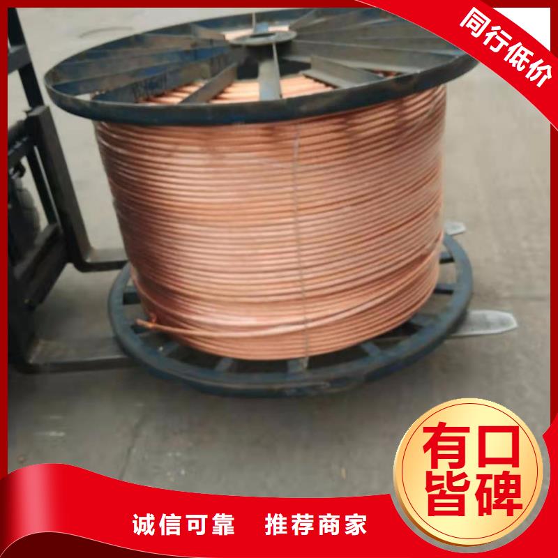 【TJX-400mm2镀锡铜绞线】变电站接地工程