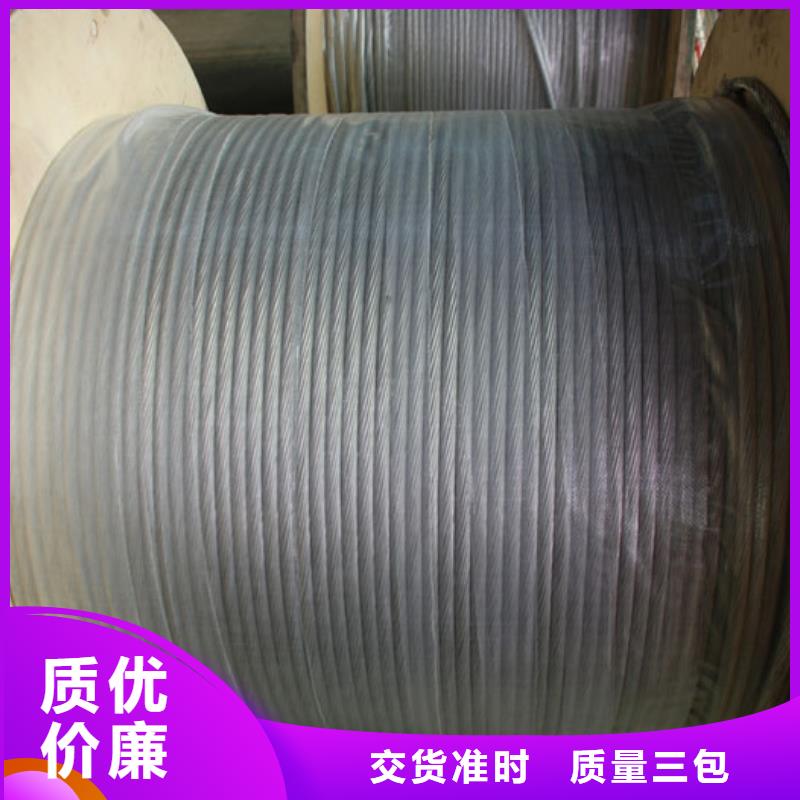 【TJX-35mm2镀锡铜绞线】变电站新建工程专用
