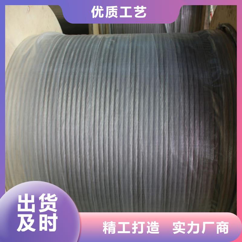 【TXJ-120mm2镀锡铜绞线】生产厂家供应%铜绞线