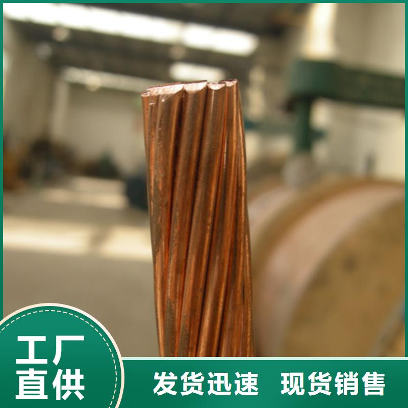 【TJX-50mm2镀锡铜绞线】南来北往这里价格合适