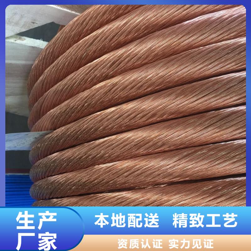 【TJX-300mm2铜绞线】变电站接地工程