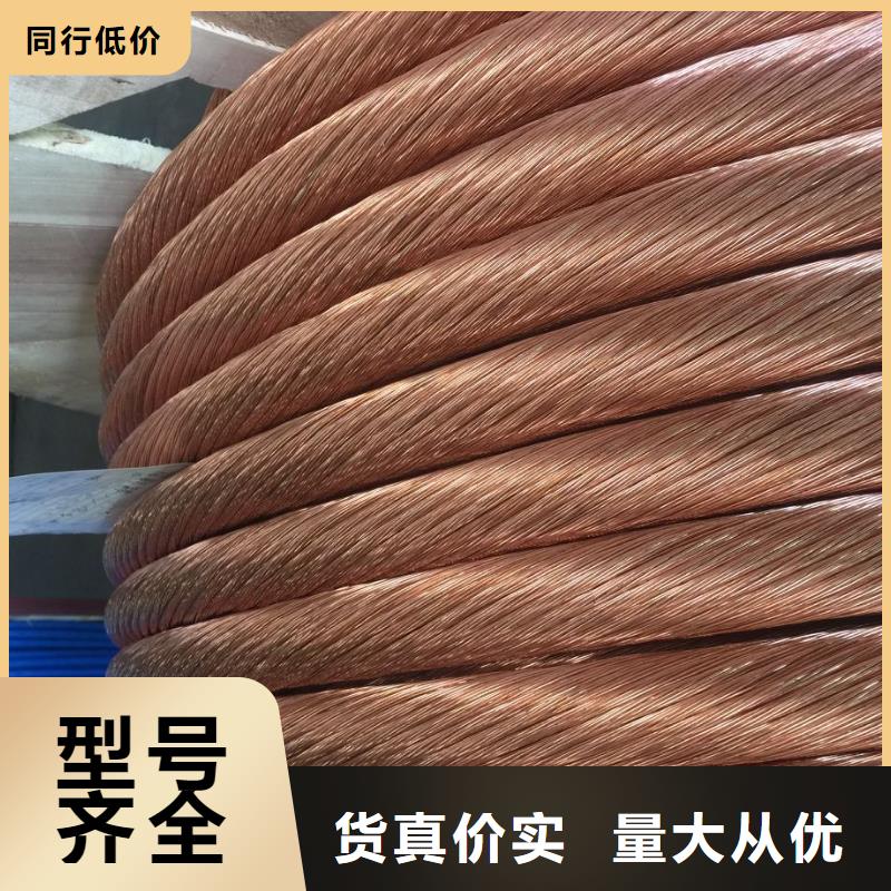 【TJX-250mm2铜绞线】变电站接地工程