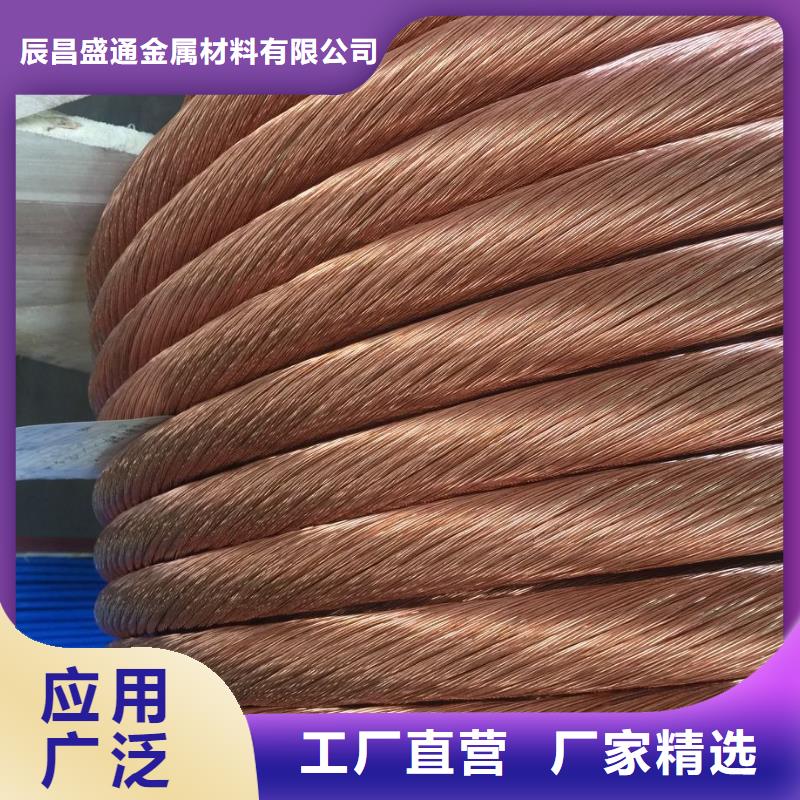 【TJX-95mm2镀锡铜绞线】变电站新建工程专用