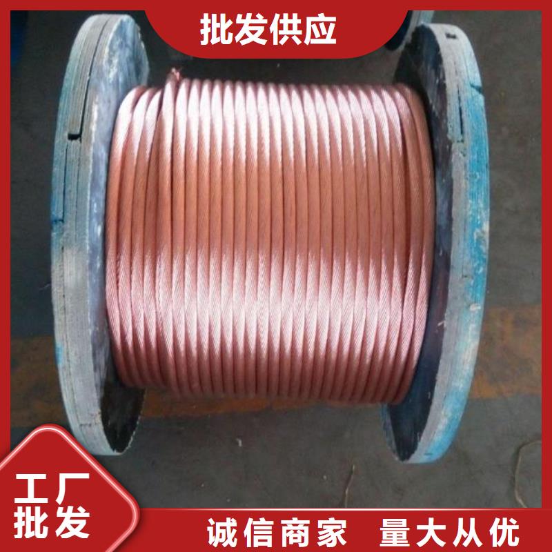 【TJX-150mm2镀锡铜绞线】产品外观美丽大方