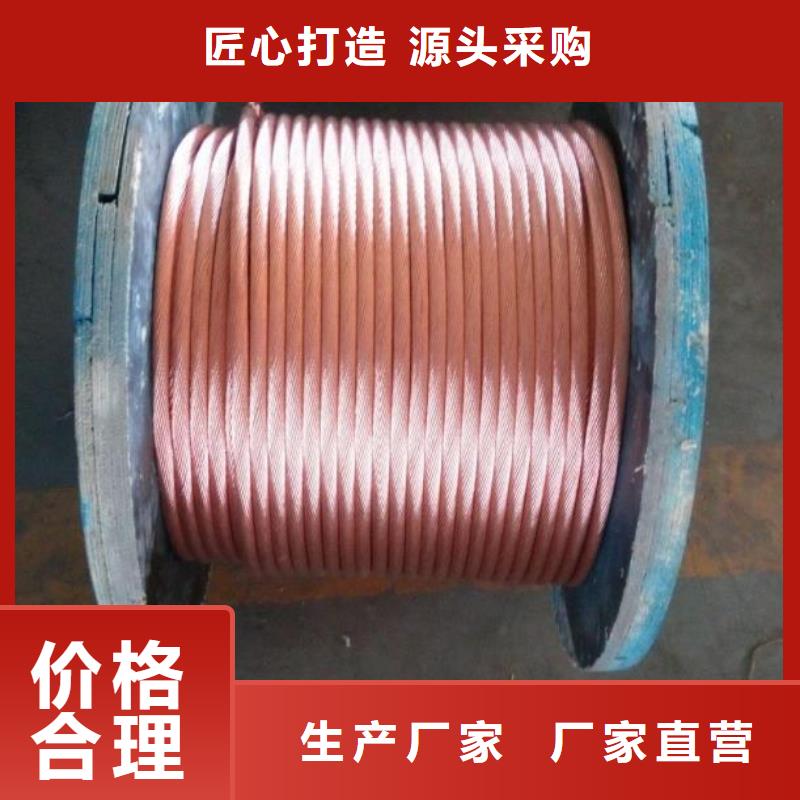 镀锡铜绞线185㎜厂家现货