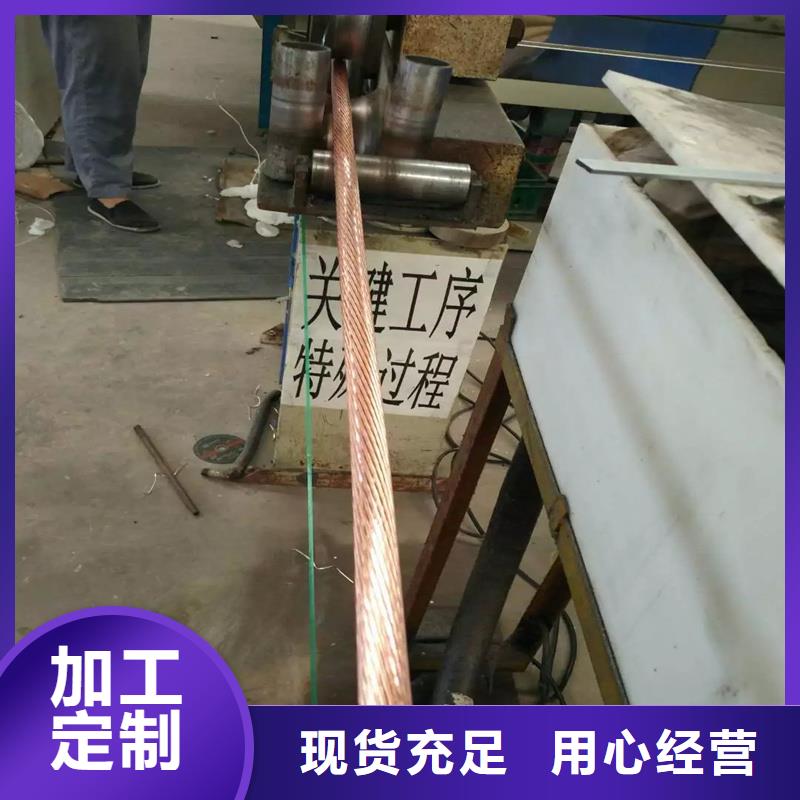 【TJX-250mm2镀锡铜绞线】厂家直销质优价廉