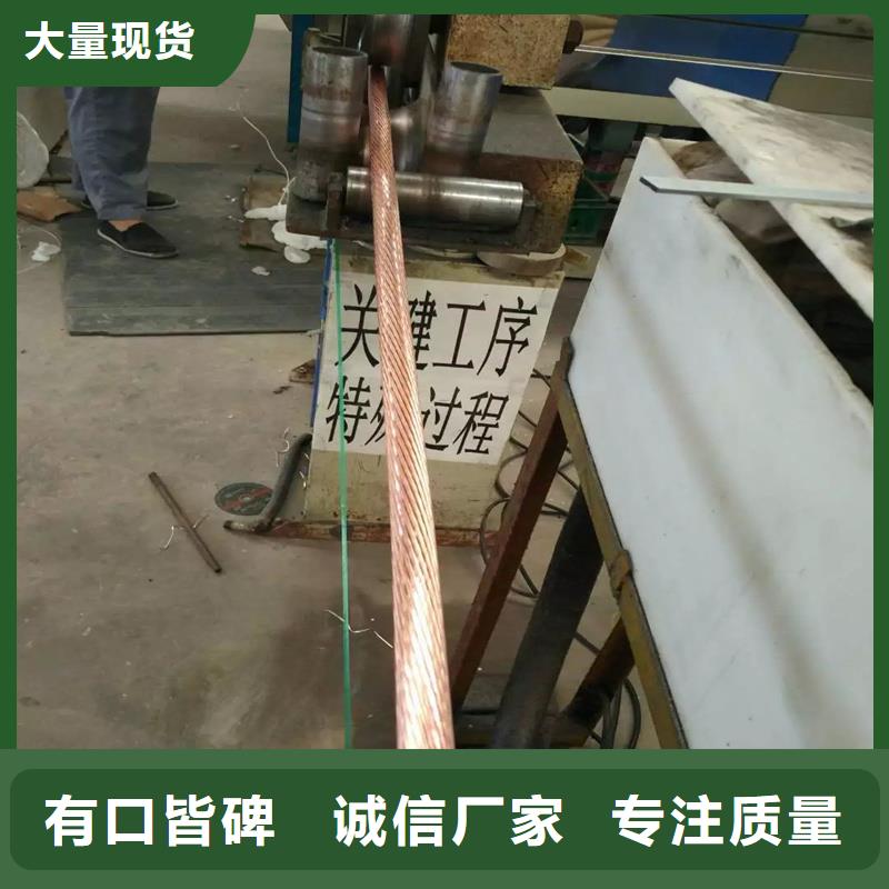 【TJX-95mm2镀锡铜绞线】变电站新建工程专用