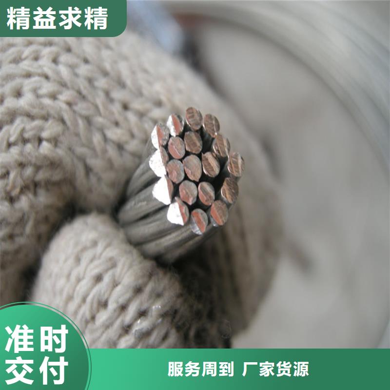 【TJ-500mm2镀锡铜绞线】现货批发