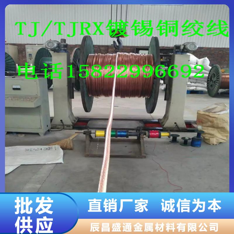 【TJX-250mm2镀锡铜绞线】变电站新建工程专用