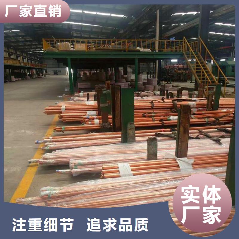 〖10*1覆塑铜管〗