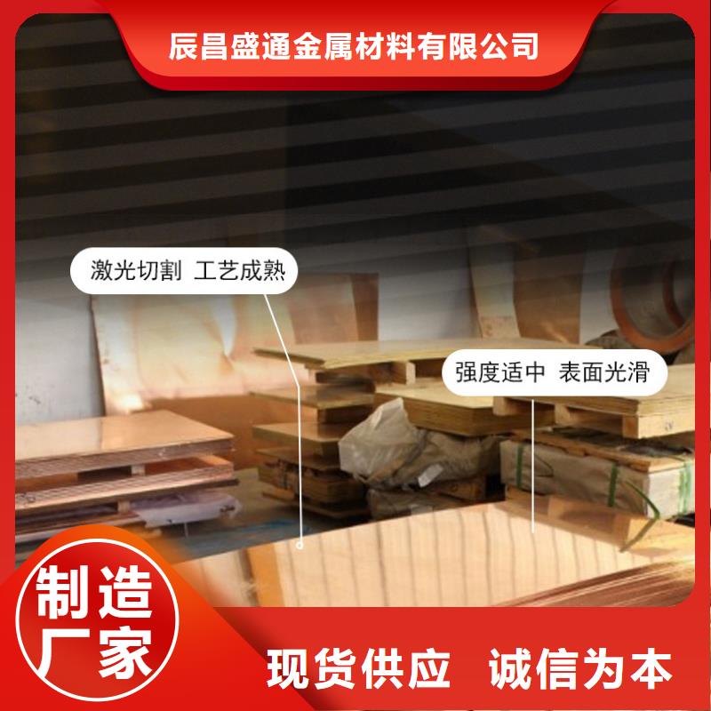 【接地铜带100*0.3】来厂考察