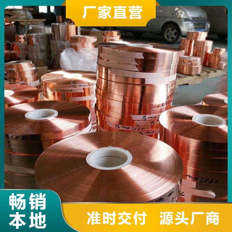 【0.3*100接地紫铜带】来厂考察